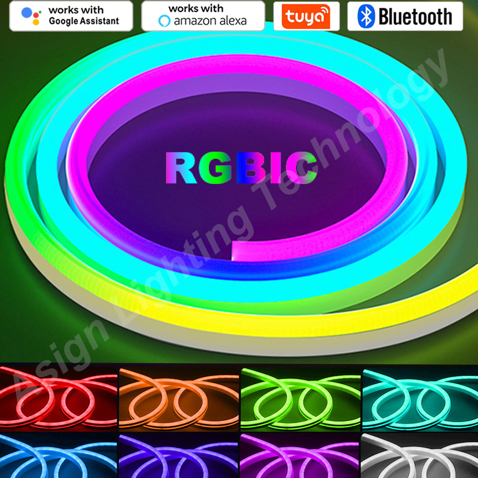 Smart Led Garden - RGBIC LED Neon Strip 12V 84LEDs/M