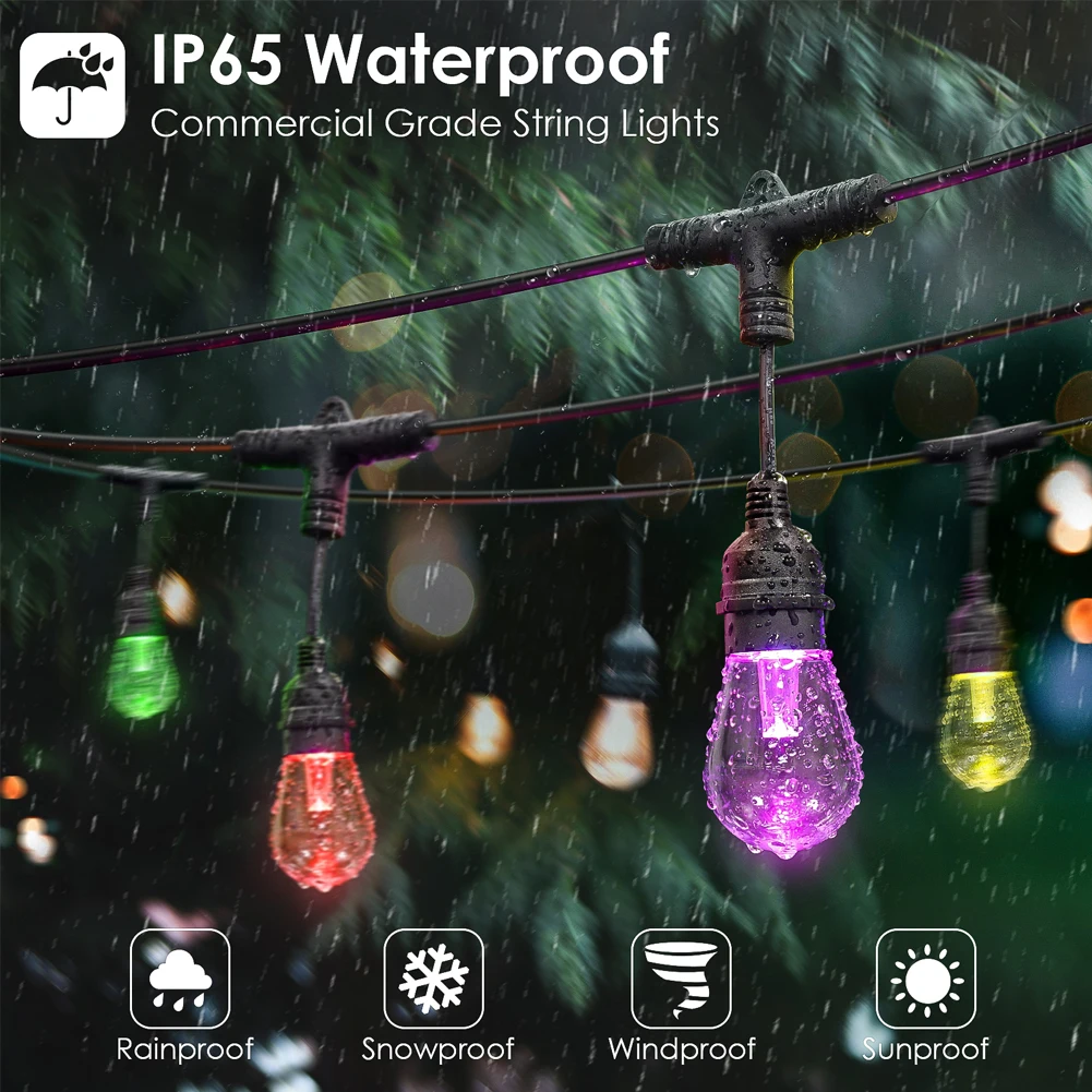 10m 20m 30m Smart LED String L - Smart Garden Festoon Lights review and price